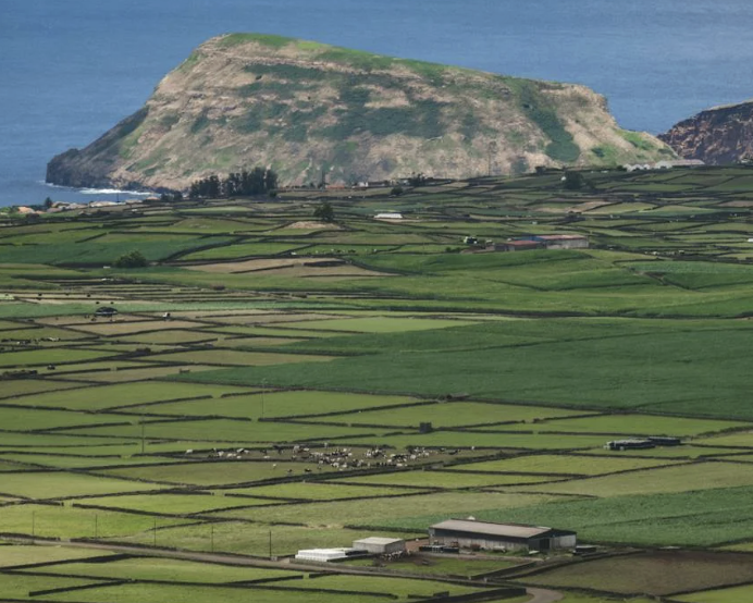  green farms and mountains